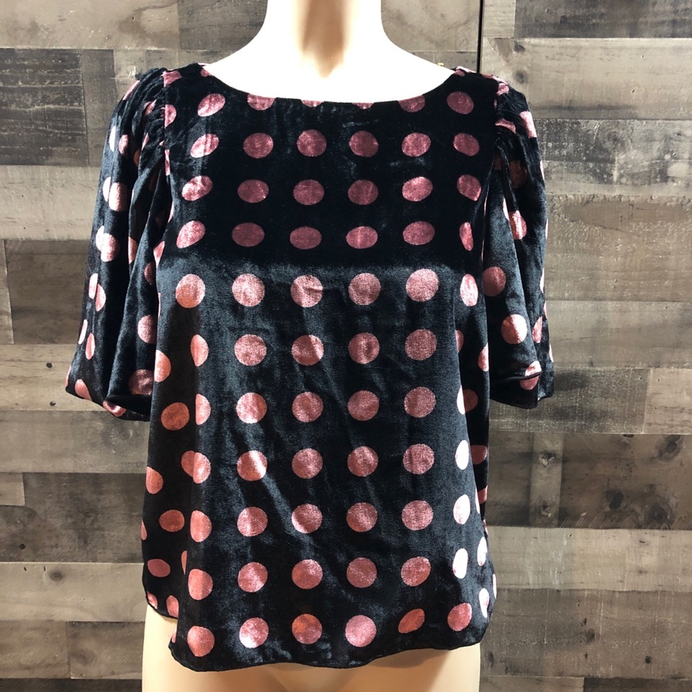 Ann Taylor Velvet Bell Sleeve Top New